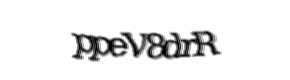 Security check image, please type the characters shown
